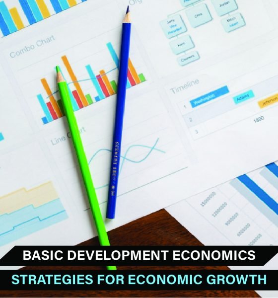 key development economics strategies for economic growth, including infrastructure, healthcare, and institutional reforms.